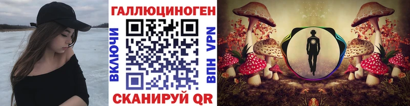 Купить где  Камешково  Псилоцибиновые грибы Psilocybe 